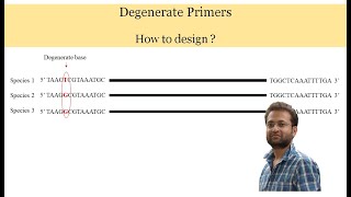 What are Degenerate primers How to Design [upl. by Lhok737]