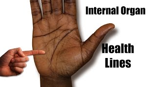 HEALTH LINE Female Palm Reading Palmistry 104 [upl. by Iyre]