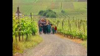 The Complete Guide To Key Burgundy Appellations [upl. by Elimay]