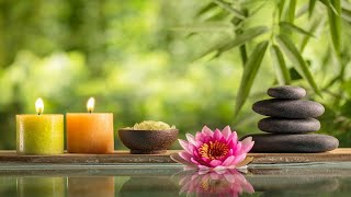 Relaxing Zen Music with Bamboo Water Sounds • Yoga Massages amp Mindfulness [upl. by Aicillyhp]