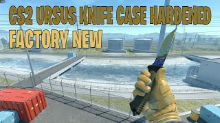 Ursus Knife Case Hardened  CS2 Skin Showcase 247 [upl. by Endys]