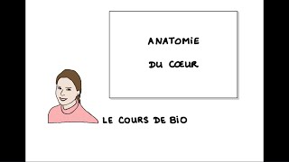 Anatomie du cœur [upl. by Gahl898]