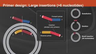 Overview of the Q5® SiteDirected Mutagenesis Kit [upl. by Olenka]