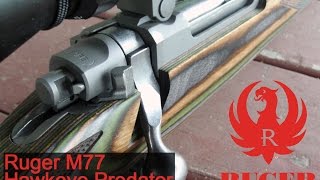 Ruger M77 Hawkeye Predator Review [upl. by Yeldua]