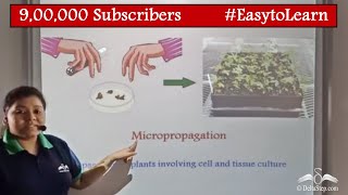 Micropropogation Method  Vegetative Propogation  Class 8  CBSE  NCERT  ICSE [upl. by Lyssa]