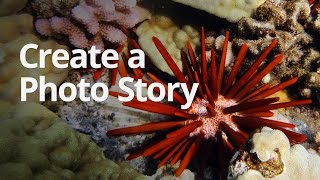 WeVideo Lesson Create a Photo Story [upl. by Idnem]