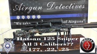 Hatsan 125 Sniper Vortex 177 22 and 25 Caliber quotFull Reviewquot by AIrgun Detectives [upl. by Messing]