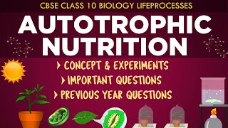 Autotrophic Nutrition in plants Lifeprocesses Class 10th Biology CBSE Syllabus Ncert class 10 [upl. by Lohrman]