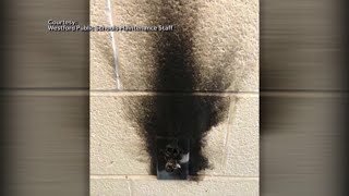 Student facing charges after viral challenge sparks fire at school [upl. by Atiekram258]