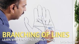 Branching of Lines in Hand  Palmistry [upl. by Asnerek]