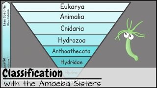 Classification [upl. by Breena]