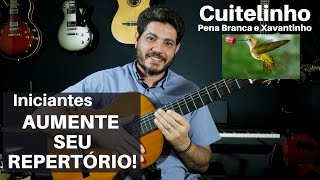 Música FÁCIL no violão  Cuitelinho  Violão iniciante música [upl. by Wadesworth336]