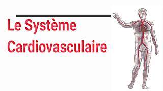 Le système cardiovasculaire [upl. by Edya]