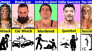 How WWE Superstars Died [upl. by Adlesirhc]