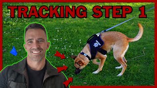 The First Step to Teach Your Dog Competitive Tracking [upl. by Amein]