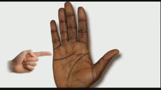 CHILDREN LINES Female Palm Reading Palmistry 100 [upl. by Lyrehs]