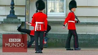 La estrepitosa caída de un guardia frente al palacio de Buckingham [upl. by Atteyram]