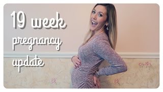 19 week pregnancy update [upl. by Enaasiali]