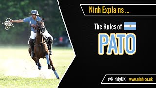 The Rules of Pato Horseball  EXPLAINED [upl. by Hewet]