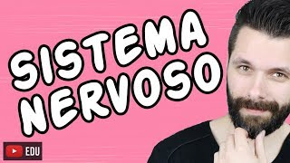 SISTEMA NERVOSO  FISIOLOGIA  Aula  Biologia com Samuel Cunha [upl. by Nordek]