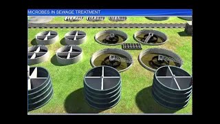 CBSE Class 12 Biology  Microbes In Sewage Treatment [upl. by Orelu882]