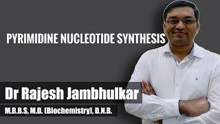 Pyrimidine nucleotide synthesis and degradation [upl. by Eckhardt]