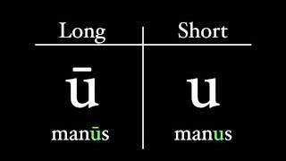 The Latin Alphabet  Vowel Pronunciation [upl. by Mark]