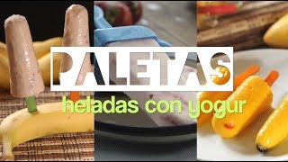 Recetas de paletas heladas con yogur [upl. by Leonteen]