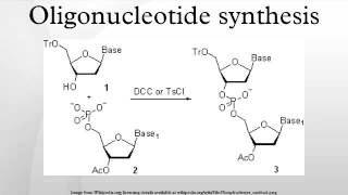 Oligonucleotide synthesis [upl. by Zuckerman]