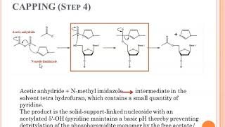 Synthesis of DNA Oligonucleotides [upl. by Fax]