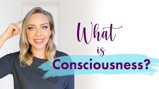 The Levels of Consciousness Explained [upl. by Novihc752]