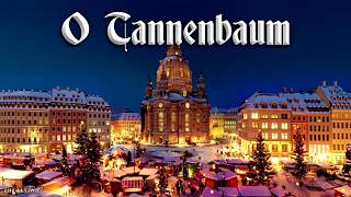 O Tannenbaum 🎄 German Christmas songEnglish translation [upl. by Nwahshar]