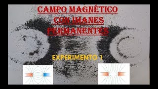 FÍSICA EXPERIMENTO 1 CAMPO MAGNÉTICO [upl. by Esinet256]