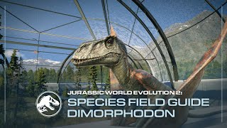 Species Field Guide  Dimorphodon  Jurassic World Evolution 2 [upl. by Pfosi212]