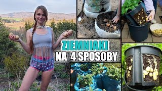 Ogrodowe DIY Ziemniaki na 4 sposoby [upl. by Garbers847]