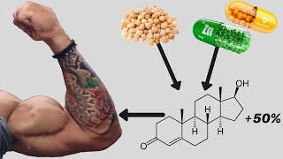 How to Increase Testosterone Must Avoid These 3 Things amp Boost Testosterone – Dr Berg [upl. by Yrem]