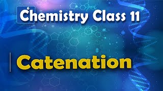 Catenation  P Block Elements  Chemistry Class 11 [upl. by Rolyt]