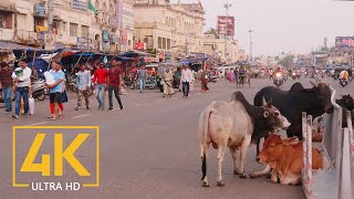 Everyday Life of Puri  4K Travel Film  Incredible India  Cities of the World [upl. by Shanahan]