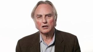 Richard Dawkins Faith  Big Think [upl. by Oriole]