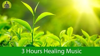 Deep Healing Music for The Body amp Soul  Relaxation Music Meditation Music [upl. by Eelibuj68]