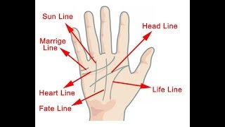 HOW TO READ YOUR OWN PALM LINES [upl. by Westlund921]