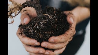 The Benefits of Humic Substances in Agriculture [upl. by Eladroc409]