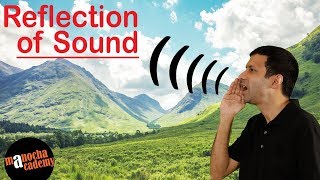 4 Fun Sound Science Experiment That Anyone Can Do [upl. by Crudden]