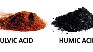 7 Fulvic Acid Benefits and Uses [upl. by Celestia643]