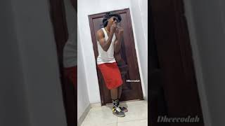 Fireboy  Peru Viral Video [upl. by Aldwin]