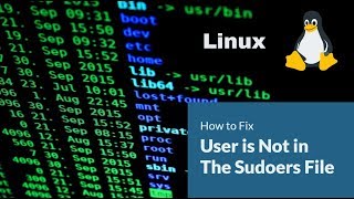 How to Fix User is Not in The Sudoers File Error  Ubuntu or Linux Mint [upl. by Mozes]