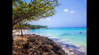 15 Things to do in Tobago [upl. by Gardia541]