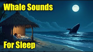 Whale Sounds amp Ocean Waves  Soothing Sleep Sounds  White Noise Sound  Peaceful Whale Song [upl. by Jerry]