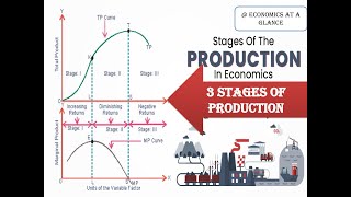 Lecture 2 Three stages of Production productioneconomicsAPPMPPTPPelasticity [upl. by Haimes]