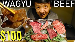 All You Can Eat A5 WAGYU BEEF in Tokyo Japan [upl. by Chelsea]